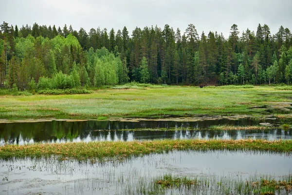 Finska sommarlandskap. — Stockfoto