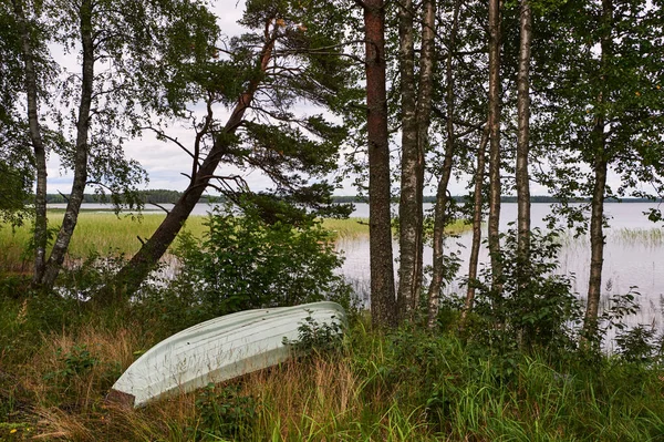 Zomer Finse landschap. — Stockfoto