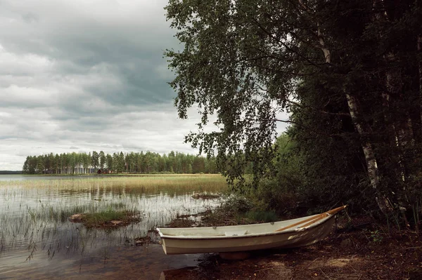 Zomer Finse landschap. — Stockfoto