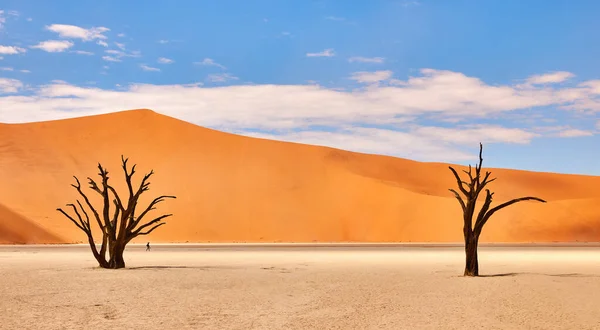 Namibian desert landscape — Stock Photo, Image