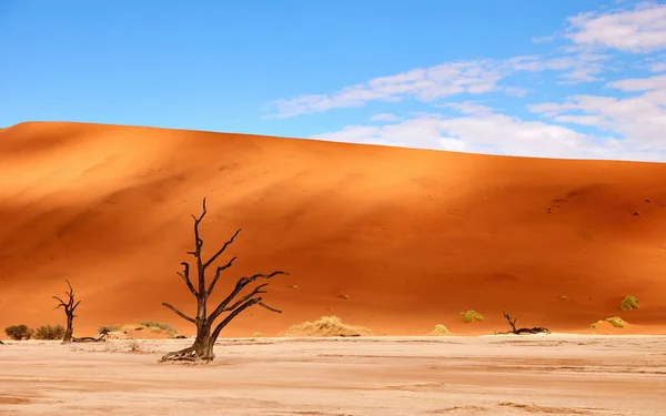 Namibian desert landscape — Stock Photo, Image