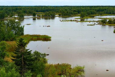 Finlandiya'da Vaasa Replot.
