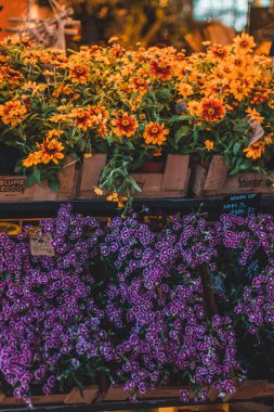 Hamburg 'da Blumenhaus an der Moenckebergstrasse