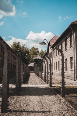 Auschwitz Birkenau toplama kampı kompleksi