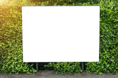 Beyaz bahar yaz yeşil yaprakları üzerinde billboard