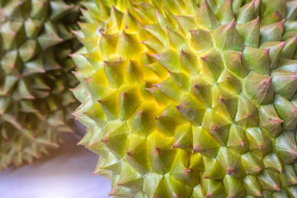 Pele duriana com espinhos afiados . — Fotografia de Stock