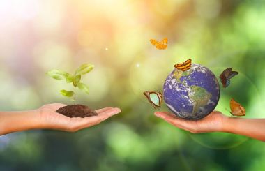 Bitki ve yeşil doğa arka taraftan Earth'te