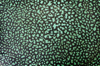 Yeşil boya renk duvar doku arka plan.