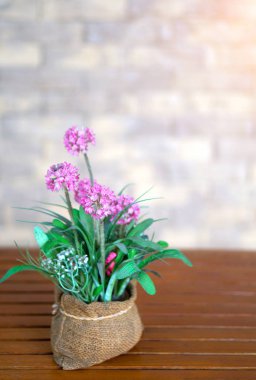 Closeup birçok çiçek ahşap masa ve güneş ışığı vazoda pembe