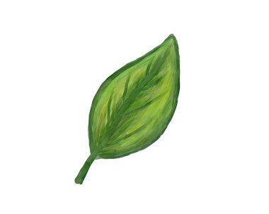 Beyaz arka planda izole edilmiş suluboya elle boyanmış yaprak.