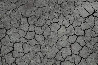 Kurak mevsimde karada veya toprakta