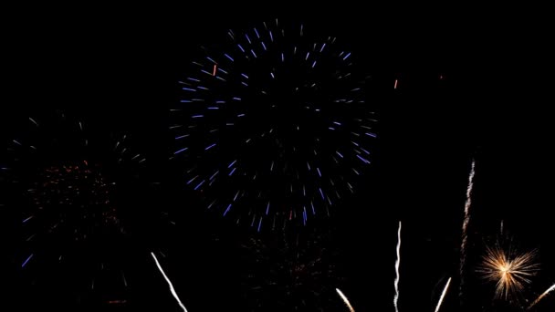 Fuegos Artificiales Fondo Del Cielo Nocturno Para Sus Vacaciones Navidad — Vídeos de Stock