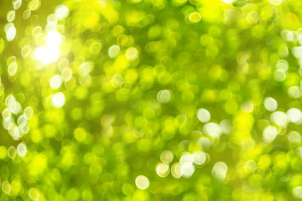 Grüner Bokeh Hintergrund Für Die Natur Oder Grünes Naturkonzept Design — Stockfoto