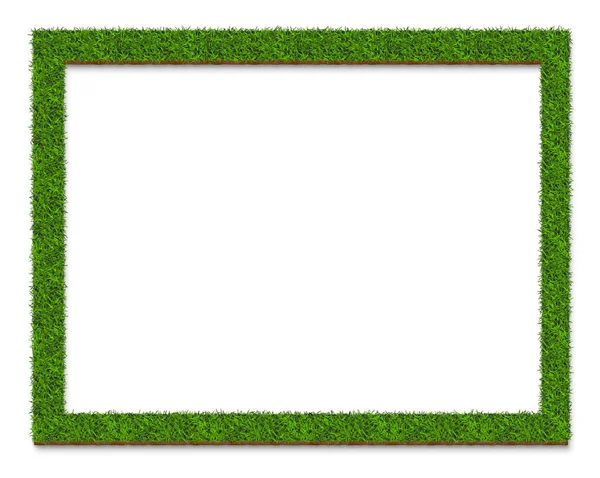Green Grass Frame Plate Surface Isolated White Background Green Concepts — Stock Photo, Image