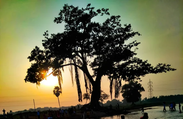 Este Paisaje Hermoso Árbol Banyan Además Del Río Paisaje Vida — Foto de Stock