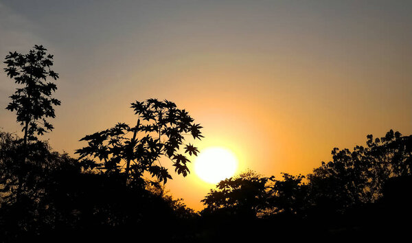 This is a landscape view of sun set behind trees.