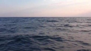 Gün batımında ya da şafakta açık mavi denizde bir tekne fırlatmak. İki yunus sudan çıkar ve dalgalarda kaybolur. Fırtınanın başlangıcı