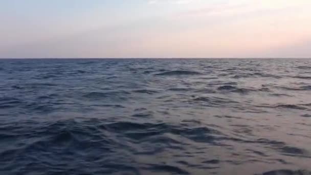 日没や夜明けに青い海にボートをピッチ 2匹のイルカが水から飛び降り 波の中に消えていきます 嵐の始まり — ストック動画
