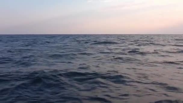 Pitching Boat Open Blue Sea Sunset Dawn Two Dolphins Jump — Stock Video