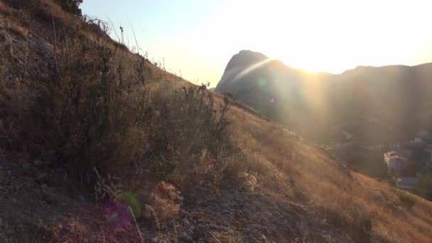 Silueta Hermosas Montañas Contra Atardecer Amanecer Hierba Seca Balancea Una — Vídeo de stock
