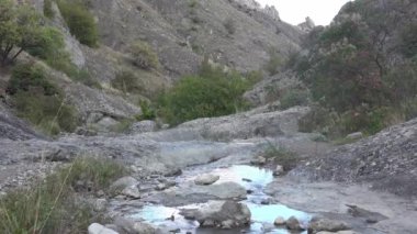 Dağdaki gri taşların arasından dar bir sızıntı akıyor. Küçük ağaçlar yetişir. Rüzgarda sallanan otlar. Su mavi gökyüzünü yansıtır.