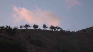 Alçak ağaçlardan oluşan karanlık bir siluet. Mavi gökyüzüne karşı. Pembe ve turuncu hızlı bulutlar geçiyor. Tepede küçük çalılar ve kuru otlar var. Renkli bulut gün batımında hızla gökyüzünde süzülür.