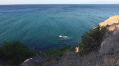 Uçurumdan güzel deniz manzarasına bak. Turkuaz deniz dalgaları bir taşa çarpıyor. Beyaz köpük mavi berrak suda yavaşça erir. Kayalık sahilde yeşil çam yetişir.