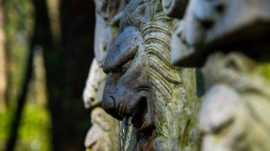 Aslan başı çeşmesi, heykel, mermer.