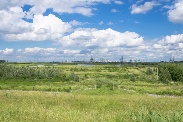 Beautiful landscape with in the distance the port of Antwerp