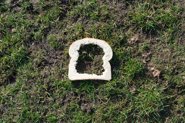 Una Rebanada Pan Desde Interior Comido Por Los Pollos Jardín — Foto de Stock