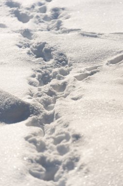 Taze kar dokusunun arkaplanı