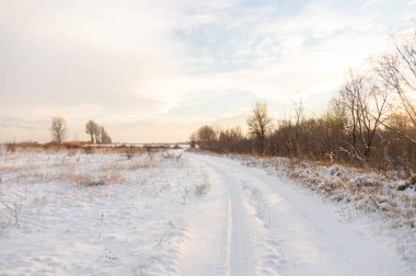 Gün batımında mavi gökyüzünün altında donmuş kuru sarı çimlerle kaplı soyulmuş tarımsal bir tarla üzerindeki donmuş çıplak ağaçlarla kışın manzarası