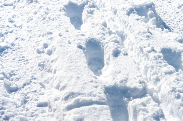 Taze Kar Dokusunun Arkaplanı — Stok fotoğraf