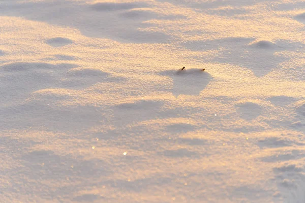 Fundo Inverno Com Textura Neve Pôr Sol Closeup — Fotografia de Stock