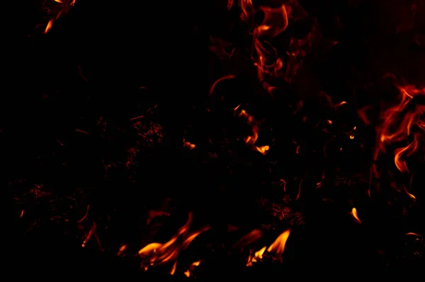 Siyah arka planda ateş alevi