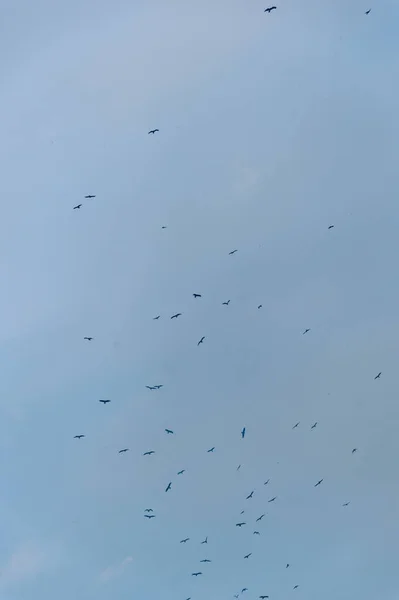 Vackra Moln Blå Himlen — Stockfoto