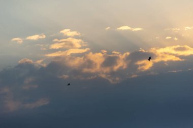 Güneş ve güzel bulut mavi gökyüzünde gün batımında