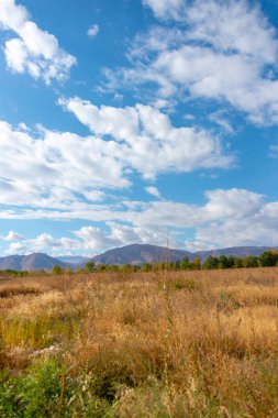Parlak çayır, yüksek dağlar ve bulutlar