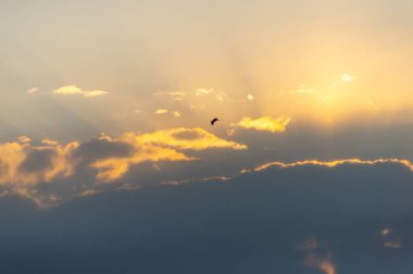 Güneş ve güzel bulut mavi gökyüzünde gün batımında