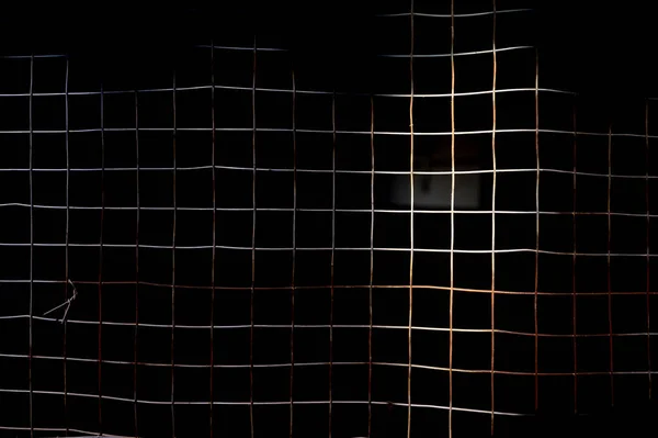 Siyah arkaplanda ağ çiti arkaplanı