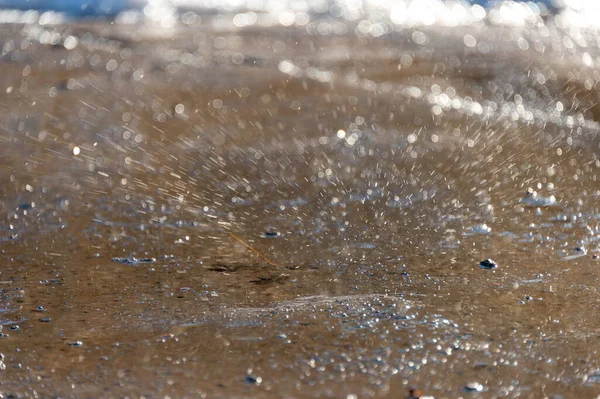 Yağmur mevsiminde yere yağmur yağar