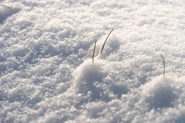 Λευκό Φόντο Υφή Χιονιού — Φωτογραφία Αρχείου