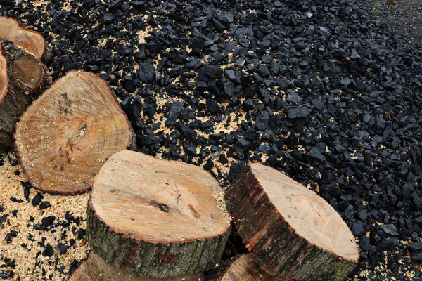 Dünyanın Önemli Yakıt Kaynaklarından Ikisi Kömür Odun — Stok fotoğraf