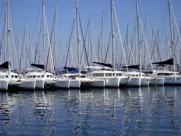 Bir orkidenin pembe çiçeği ön planda güneşle parlıyordu ve arka planda penceremin arkasında yeşil yapraklar görülüyordu..  