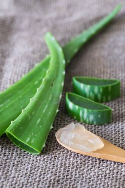 aloe vera jeli