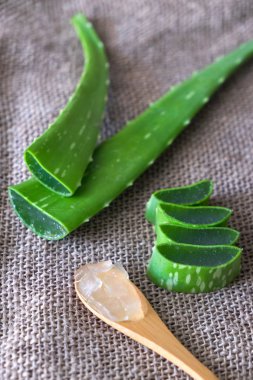 aloe vera jeli