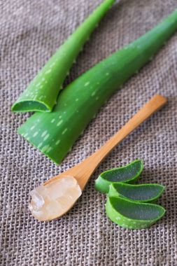 aloe vera