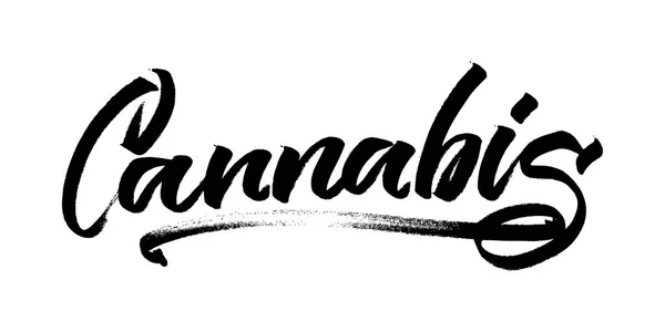 Cannabis. Moderna kalligrafi Hand Lettering för screentryck Print — Stock vektor