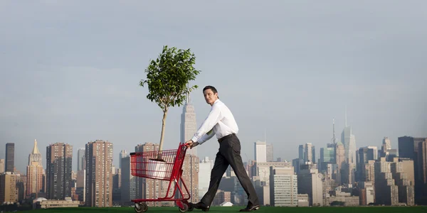 Businessman plants tree — Stock Photo, Image