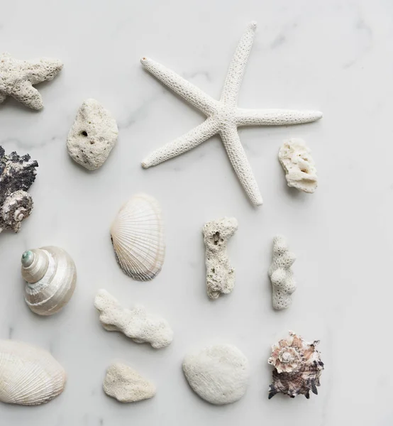 Starfish e Seashells na mesa de mármore — Fotografia de Stock